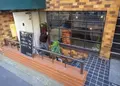 ヨゴロウ （YOGORO） の写真_210349