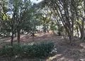 茶臼山（天王寺公園）の写真_210830