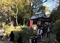 安居神社の写真_210831