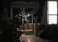 大鷲の写真_210896