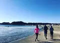 由比ガ浜海水浴場の写真_211704