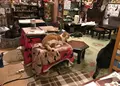 ねんねこ家の写真_212708