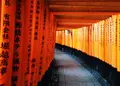 伏見稲荷大社の写真_217012