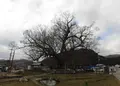 能勢町役場 けやき資料館の写真_221547