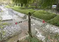 水分れ公園の写真_222371