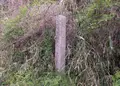 水口岡山城の写真_234220