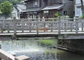 樋橋の写真_248375