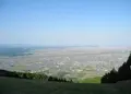池田山の写真_250312