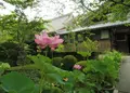 龍潭寺の写真_250574