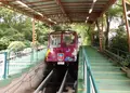 まやビューライン夢散歩の写真_252417