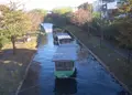 伏見十石舟の写真_254825