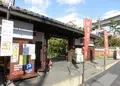 菊正宗酒造記念館の写真_255339