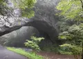 雄橋の写真_263291