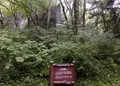鬼の唐門の写真_263292
