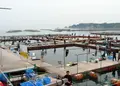 家島町坊勢５５の写真_266717