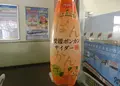 愛媛県の写真_269606