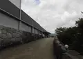 大津市歴史博物館の写真_271538