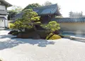 観智院の写真_282156