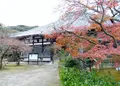 功山寺の写真_285455