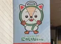 ナインモール九条の写真_286647