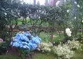 奇跡の星の植物館の写真_291280