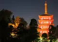 金剛寺（高幡不動尊）の写真_295961