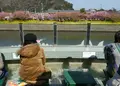 河津三郎の足湯処の写真_296132