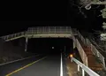 日本平パークウェイの歩道橋の写真_301132