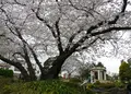 港の見える丘公園の写真_301341