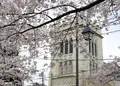 元町公園の写真_301343