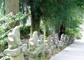 大福寺の写真_310204