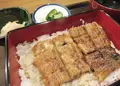 あめやの写真_340333