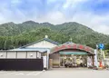 ふらっと美山の写真_414713