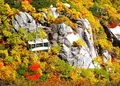 駒ヶ岳ロープウェイ 千畳敷駅の写真_421430