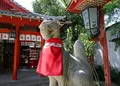 源九郎稲荷神社の写真_439828