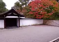 龍吟庵の写真_460909