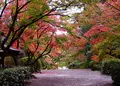 胡宮神社の写真_462924