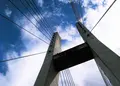 向山橋の写真_482987