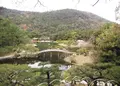 栗林公園の写真_484140
