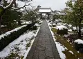 天球院の写真_496659
