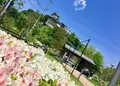 ゆらのガーデンの写真_504599