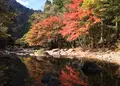 見谷渓谷の写真_523511