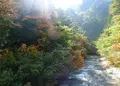 日之影川の写真_523512