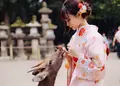 レンタル着物 奈良公園 /奈良富士きものの写真_538440