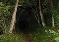 乙女の祈りの写真_644935