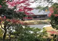 常栄寺の写真_845980