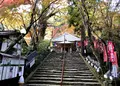 瀧塔山 龍蔵寺の写真_846031