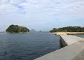 真宮島の写真_846607