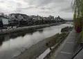 鴨川の写真_905333