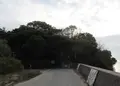 唐船山の写真_908504